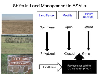 Review of community conservancies in Kenya