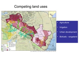 Review of community conservancies in Kenya