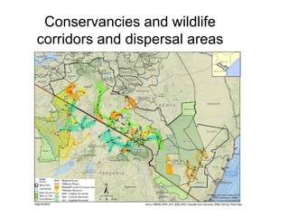 Conservancies and wildlife corridors and dispersal areas 