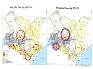 Review of community conservancies in Kenya