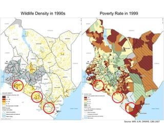 Review of community conservancies in Kenya