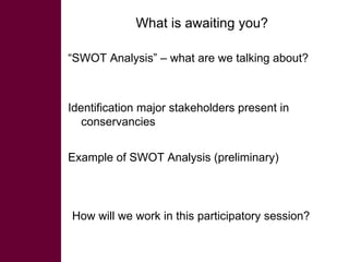 Participatory SWOT analysis of institutional arrangements in the conservancies
