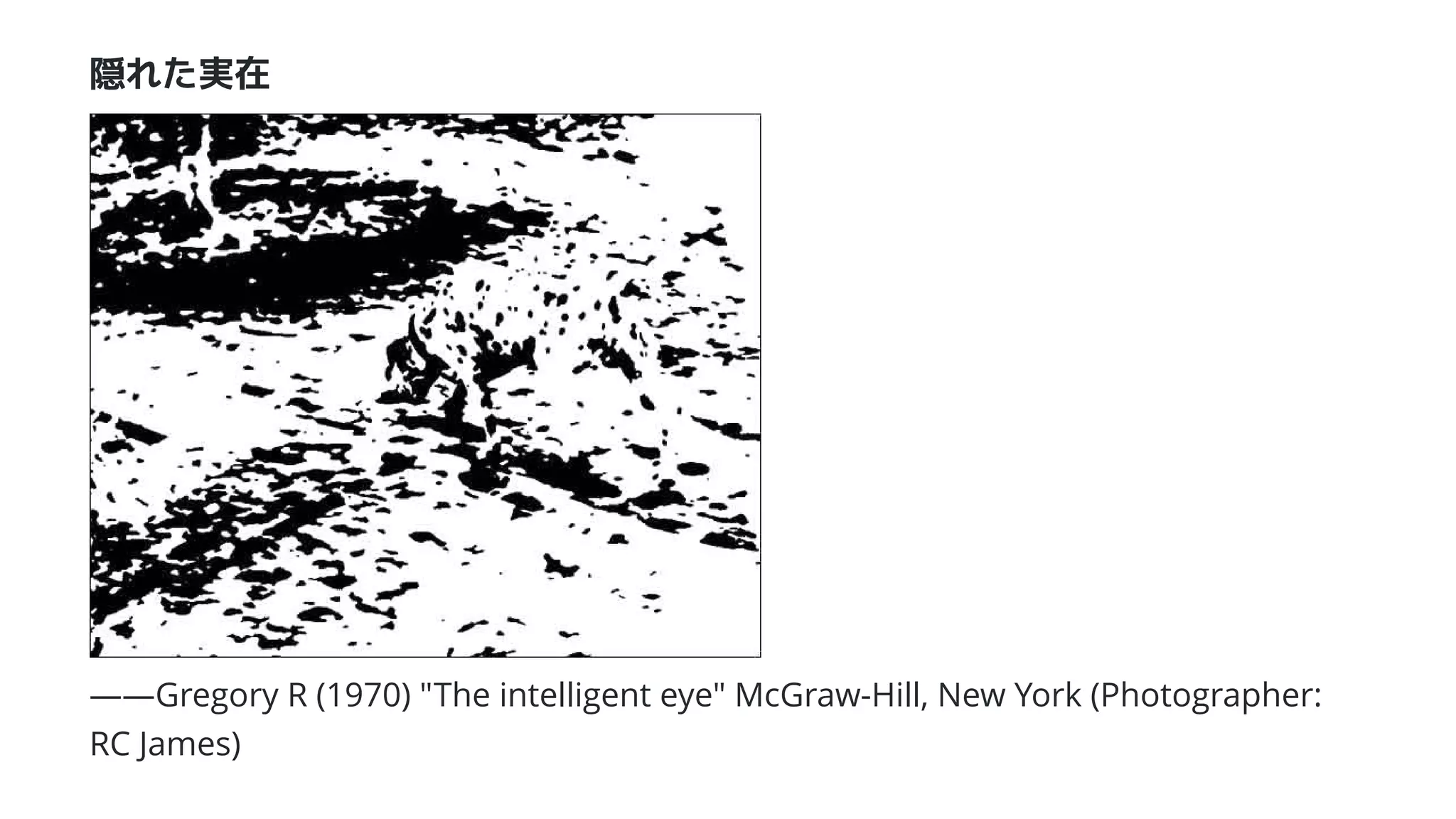 隠れた実在
――Gregory R (1970) "The intelligent eye" McGraw-Hill, New York (Photographer:
RC James)
 