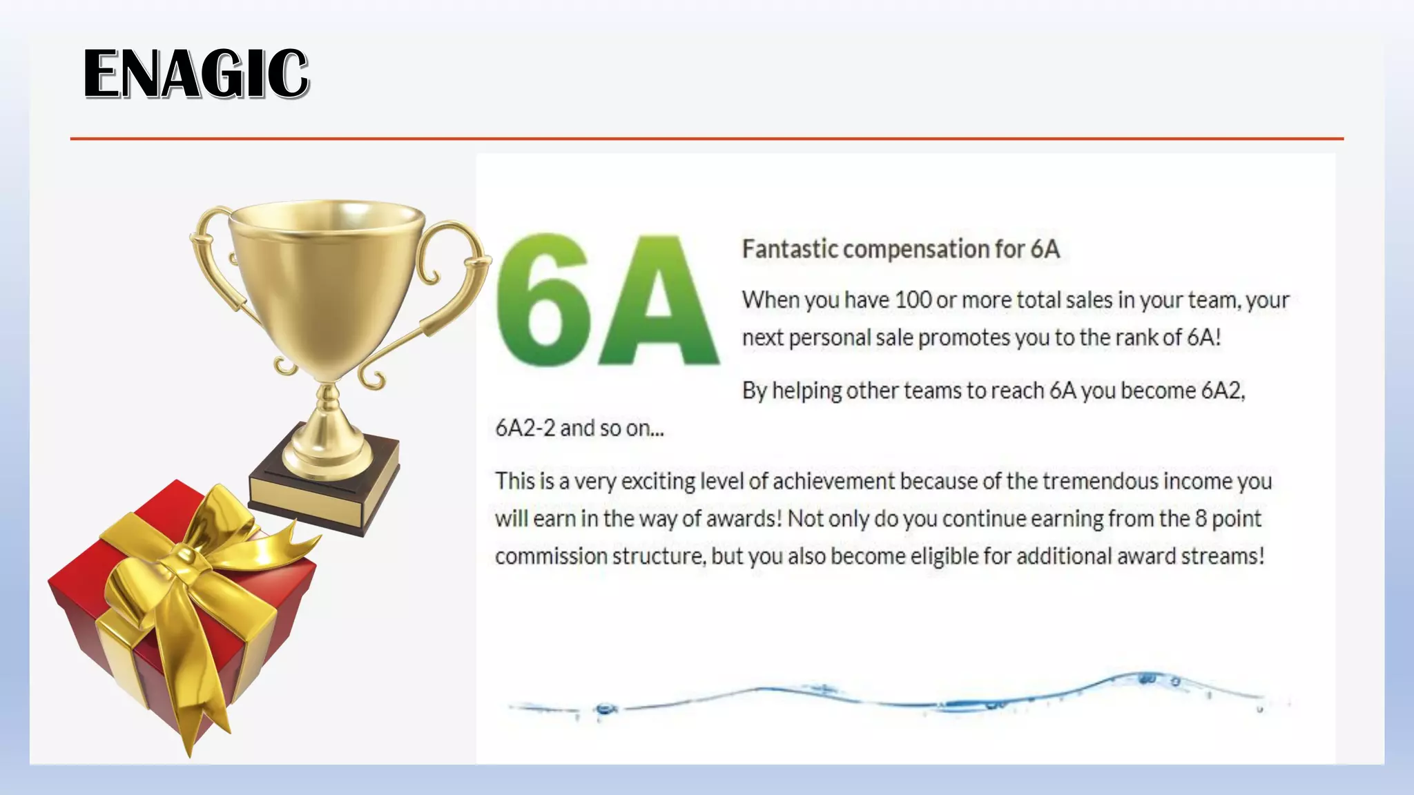 Enagic compensation plan