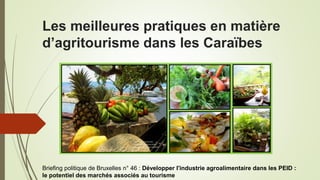 Les meilleures pratiques en matière
d’agritourisme dans les Caraïbes
Ena Harvey, Expert in Agritourism, IICA, Caribbean
Briefing politique de Bruxelles n° 46 : Développer l'industrie agroalimentaire dans les PEID :
le potentiel des marchés associés au tourisme
 