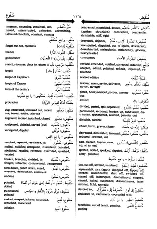 En al mawrid-dictionary