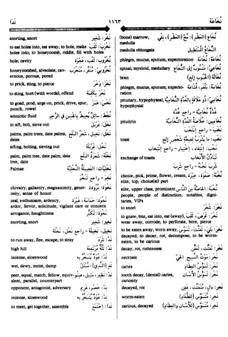 En al mawrid-dictionary