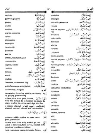 En al mawrid-dictionary