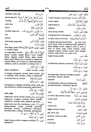 En al mawrid-dictionary