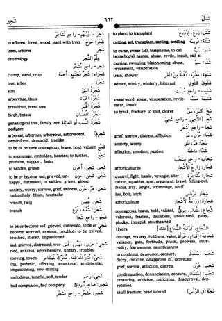 En al mawrid-dictionary