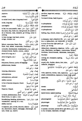 En al mawrid-dictionary