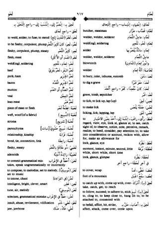 En al mawrid-dictionary