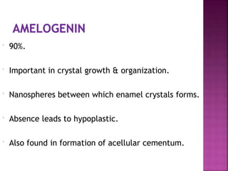  90%.
 Important in crystal growth & organization.
 Nanospheres between which enamel crystals forms.
 Absence leads to hypoplastic.
 Also found in formation of acellular cementum.
 