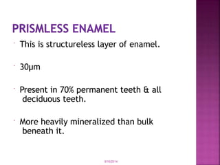  This is structureless layer of enamel.
 30µm
 Present in 70% permanent teeth & all
deciduous teeth.
 More heavily mineralized than bulk
beneath it.
9/16/2014
 