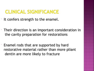  It confers strength to the enamel.
 Their direction is an important consideration in
the cavity preparation for restorations
 Enamel rods that are supported by hard
restorative material rather than more pliant
dentin are more likely to fracture
 