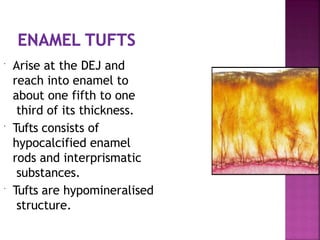  Arise at the DEJ and
reach into enamel to
about one fifth to one
third of its thickness.
 Tufts consists of
hypocalcified enamel
rods and interprismatic
substances.
 Tufts are hypomineralised
structure.
 