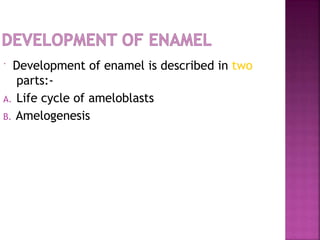  Development of enamel is described in two
parts:-
A. Life cycle of ameloblasts
B. Amelogenesis
 