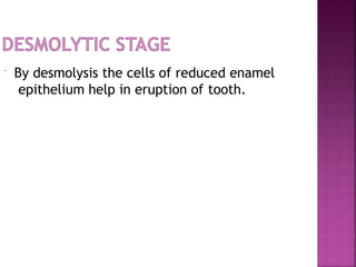  By desmolysis the cells of reduced enamel
epithelium help in eruption of tooth.
 