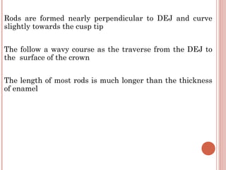 Rods are formed nearly perpendicular to DEJ and curve slightly towards the cusp tip The follow a wavy course as the traverse from the DEJ to the  surface of the crown The length of most rods is much longer than the thickness of enamel 