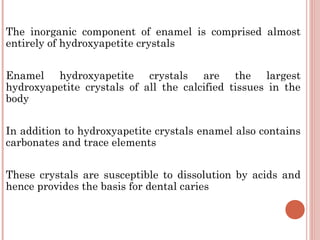 The inorganic component of enamel is comprised almost entirely of hydroxyapetite crystals Enamel hydroxyapetite crystals are the largest hydroxyapetite crystals of all the calcified tissues in the body In addition to hydroxyapetite crystals enamel also contains carbonates and trace elements These crystals are susceptible to dissolution by acids and hence provides the basis for dental caries 