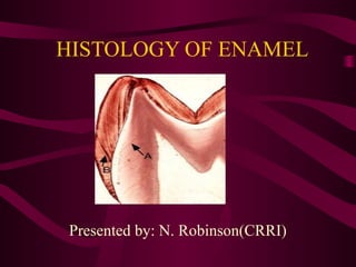 HISTOLOGY OF ENAMEL




Presented by: N. Robinson(CRRI)
 