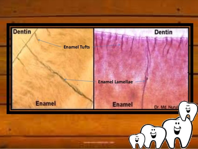 Enamel