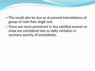  This could also be due to structured interrelations of
group of rods than single rod.
 These are more prominent in less calcified enamel so
striae are considered due to daily variation in
secretary activity of ameloblasts.
 