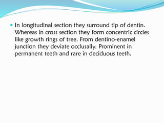  In longitudinal section they surround tip of dentin.
Whereas in cross section they form concentric circles
like growth rings of tree. From dentino-enamel
junction they deviate occlusally. Prominent in
permanent teeth and rare in deciduous teeth.
 