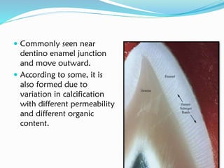  Commonly seen near
dentino enamel junction
and move outward.
 According to some, it is
also formed due to
variation in calcification
with different permeability
and different organic
content.
 