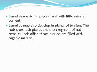  Lamellae are rich in protein and with little mineral
content.
 Lamellae may also develop in planes of tension. The
rods cross such planes and short segment of rod
remains unclassified those later on are filled with
organic material.
 