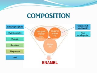 COMPOSITION
Calcium phosphate
Hydroxyapatite
Fluoride
Strontium
Magnesium
Lead
Tyrosine rich
amelogenin
Non
amelogenins
 