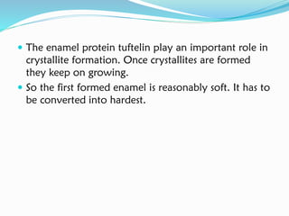  The enamel protein tuftelin play an important role in
crystallite formation. Once crystallites are formed
they keep on growing.
 So the first formed enamel is reasonably soft. It has to
be converted into hardest.
 