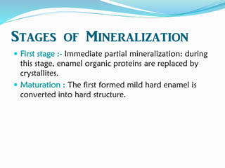 Stages of Mineralization
 First stage :- Immediate partial mineralization: during
this stage, enamel organic proteins are replaced by
crystallites.
 Maturation : The first formed mild hard enamel is
converted into hard structure.
 