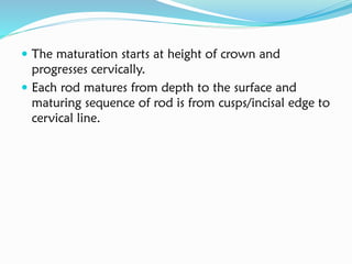  The maturation starts at height of crown and
progresses cervically.
 Each rod matures from depth to the surface and
maturing sequence of rod is from cusps/incisal edge to
cervical line.
 