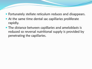  Fortunately stellate reticulum reduces and disappears.
 At the same time dental sac capillaries proliferate
rapidly.
 The distance between capillaries and ameloblasts is
reduced so reversal nutritional supply is provided by
penetrating the capillaries.
 