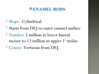 Enamel | PPT