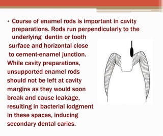 • Course of enamel rods is important in cavity
preparations. Rods run perpendicularly to the
underlying dentin or tooth
surface and horizontal close
to cement-enamel junction.
While cavity preparations,
unsupported enamel rods
should not be left at cavity
margins as they would soon
break and cause leakage,
resulting in bacterial lodgment
in these spaces, inducing
secondary dental caries.
 