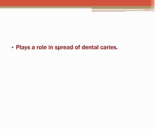 • Plays a role in spread of dental caries.
 
