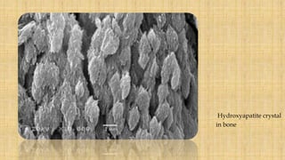 Hydroxyapatite crystal
in bone
 