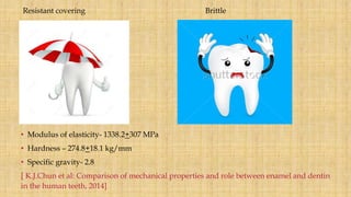 Resistant covering Brittle
• Modulus of elasticity- 1338.2+307 MPa
• Hardness – 274.8+18.1 kg/mm
• Specific gravity- 2.8
[ K.J.Chun et al: Comparison of mechanical properties and role between enamel and dentin
in the human teeth, 2014]
 