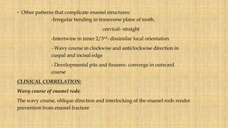 • Other patterns that complicate enamel structures:
-Irregular bending in transverse plane of tooth,
cervical- straight
-Intertwine in inner 2/3rd- dissimilar local orientation
- Wavy course in clockwise and anticlockwise direction in
cuspal and incisal edge
- Developmental pits and fissures- converge in outward
course
CLINICAL CORRELATION:
Wavy course of enamel rods:
The wavy course, oblique direction and interlocking of the enamel rods render
prevention from enamel fracture
 