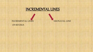 INCREMENTAL LINES
INCREMENTAL LINES NEONATAL LINE
OF RETZIUS
 