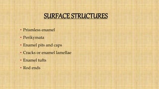 SURFACE STRUCTURES
• Prismless enamel
• Perikymata
• Enamel pits and caps
• Cracks or enamel lamellae
• Enamel tufts
• Rod ends
 