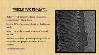 PRISMLESS ENAMEL
• Relatively structureless layer of enamel,
approximately 30μm thick
• Seen in 70% of permanent and all deciduous
teeth
• Most commonly in cervical areas of enamel
surface
• Surface, prismless, hydroxyapatite parallel to
each other and perpendicular to Striae of
Retzius
• Hypermineralised
 