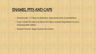 ENAMEL PITS AND CAPS
• Enamel pits- 1-1.5μm in diameter, depressed ends of ameloblast
• Caps- small elevation of about 10-15μm, enamel deposition on non-
mineralizable debris
• Enamel brochs- large enamel elevations
 