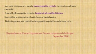 • Inorganic component – mainly hydroxyapatite crystals, carbonates and trace
elements.
• Enamel hydroxyapatite crystals- largest of all calcified tissues
• Susceptible to dissolution of acid- basis of dental caries.
• Water is present as a part of hydroxyapatite crystal, boundaries of rods.
[ Jayasudha et al: Enamel regeneration- Current progress and challenges,
September 2014]
 