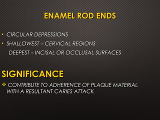 ENAMEL | PPT