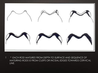 Interlocking Enamel Rods ENAMEL | PPT