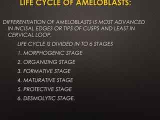 LIFE CYCLE OF AMELOBLASTS:LIFE CYCLE OF AMELOBLASTS:
DIFFERENTIATION OF AMELOBLASTS IS MOST ADVANCEDDIFFERENTIATION OF AMELOBLASTS IS MOST ADVANCED
IN INCISAL EDGES OR TIPS OF CUSPS AND LEAST ININ INCISAL EDGES OR TIPS OF CUSPS AND LEAST IN
CERVICAL LOOP.CERVICAL LOOP.
LIFE CYCLE IS DIVIDED IN TO 6 STAGESLIFE CYCLE IS DIVIDED IN TO 6 STAGES
1. MORPHOGENIC STAGE1. MORPHOGENIC STAGE
2. ORGANIZING STAGE2. ORGANIZING STAGE
3. FORMATIVE STAGE3. FORMATIVE STAGE
4. MATURATIVE STAGE4. MATURATIVE STAGE
5. PROTECTIVE STAGE5. PROTECTIVE STAGE
6. DESMOLYTIC STAGE.6. DESMOLYTIC STAGE.
 