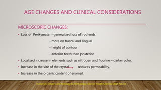 AGE CHANGES AND CLINICAL CONSIDERATIONS
MICROSCOPIC CHANGES:
• Loss of Perikymata - generalized loss of rod ends
- more on buccal and lingual
- height of contour
- anterior teeth than posterior
• Localized increase in elements such as nitrogen and fluorine – darker color.
• Increase in the size of the crystal reduces permeability.
• Increase in the organic content of enamel.
Kumar GS. Orban's oral histology & embryology. Elsevier Health Sciences; 2014 Feb 10.
 